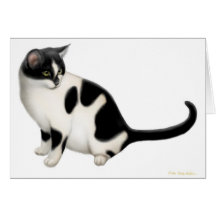 Moxie the Tuxedo Cat Card
