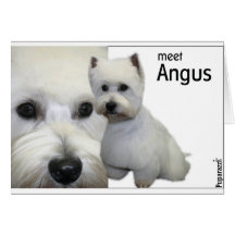 Mr Angus Greeting Card
