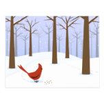 Mr. Cardinal in winter forest postcard