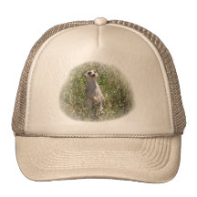 Mr Meerkat Mesh Hats
