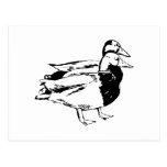 Mr & Mrs Duck Post Cards