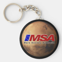 MSA Key Chain