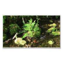 Mt Jefferson Oregon Landscape Skyscape Waterscape Photographic Print