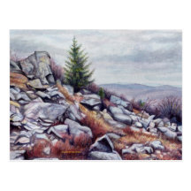 Mt. Rogers Postcard