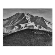 MT SHASTA IN BLACK AND WHITE POSTCARD