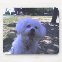 Muffie at the Dog Park Mouse Pads