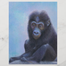 Muhali, Baby Gorilla Full Color Flyer