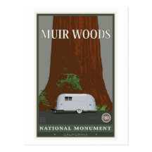Muir Woods National Monument 1 Postcards