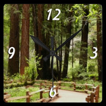 Muir Woods Path Wall Clock wall clocks