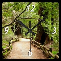 Muir Woods Path Wall Clock wall clocks
