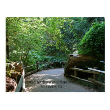 Muir Woods Post Card