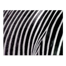 (multiple products selected) Zebra Pattern love_ Post Cards