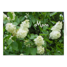 Mum White Lilacs Cards