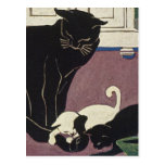 Mummy Kat and Kittens Post Cards