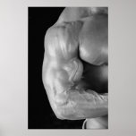 Muscular Arm Poster