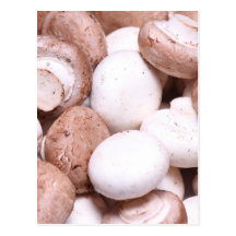 Mushroom background postcard