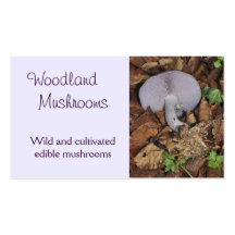 Mushroom business card
