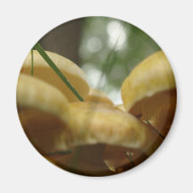 Mushroom Forest Refrigerator Magnet