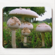Mushroom four mousepad