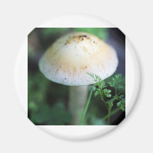 Mushroom Fridge Magnet