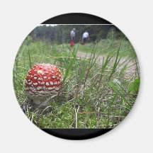 Mushroom In The Grass Refrigerator Magnets