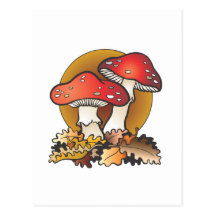 Mushroom Madness Postcard