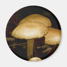 Mushroom Morning Magnet