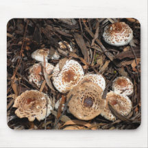 Mushroom Mousepad