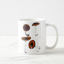 Mushroom Mug
