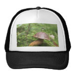 Mushroom On Moss Trucker Hats