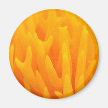Mushroom Orange Magnet