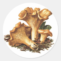 Mushroom Sticker