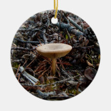 Mushroom Stretch Christmas Ornaments