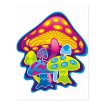 Mushroom with beautiful colors postcard