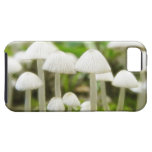 Mushroom World iPhone 5 Covers
