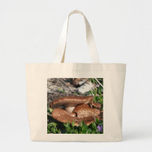 Mushrooms Canvas Bag
