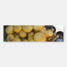 Mushrooms Fungus Bumper Stickers