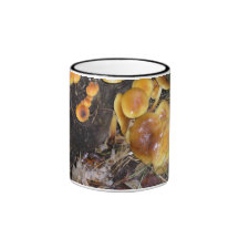 mushrooms in the woods coffee mugs