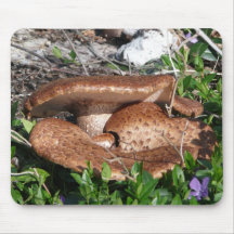 Mushrooms Mouse Pad