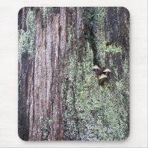 Mushrooms Mousepad