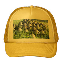 mushrooms trucker hats