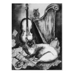 MUSICAL CAT , Black and White Post Cards