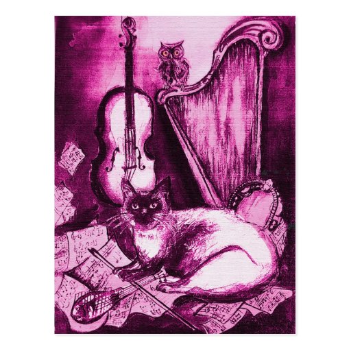 MUSICAL CAT ,Pink Violet and White Postcard