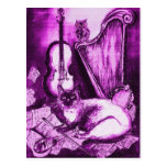 MUSICAL CAT ,Purple Violet and White Post Card