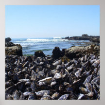 mussel beach poster