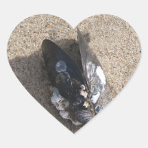 Mussel on Sandy Ventura Beach Sticker