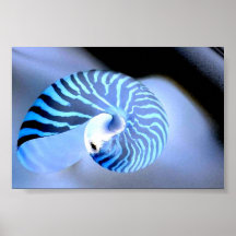 Mussel Print