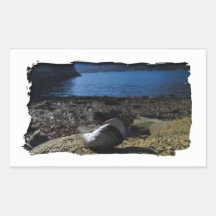 Mussel Shell Model Rectangular Stickers