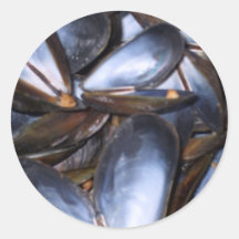 Mussel Shells Sticker