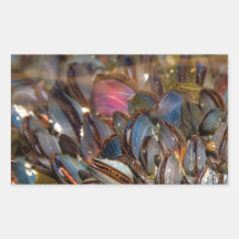 Mussels Under the Ocean Rectangle Stickers